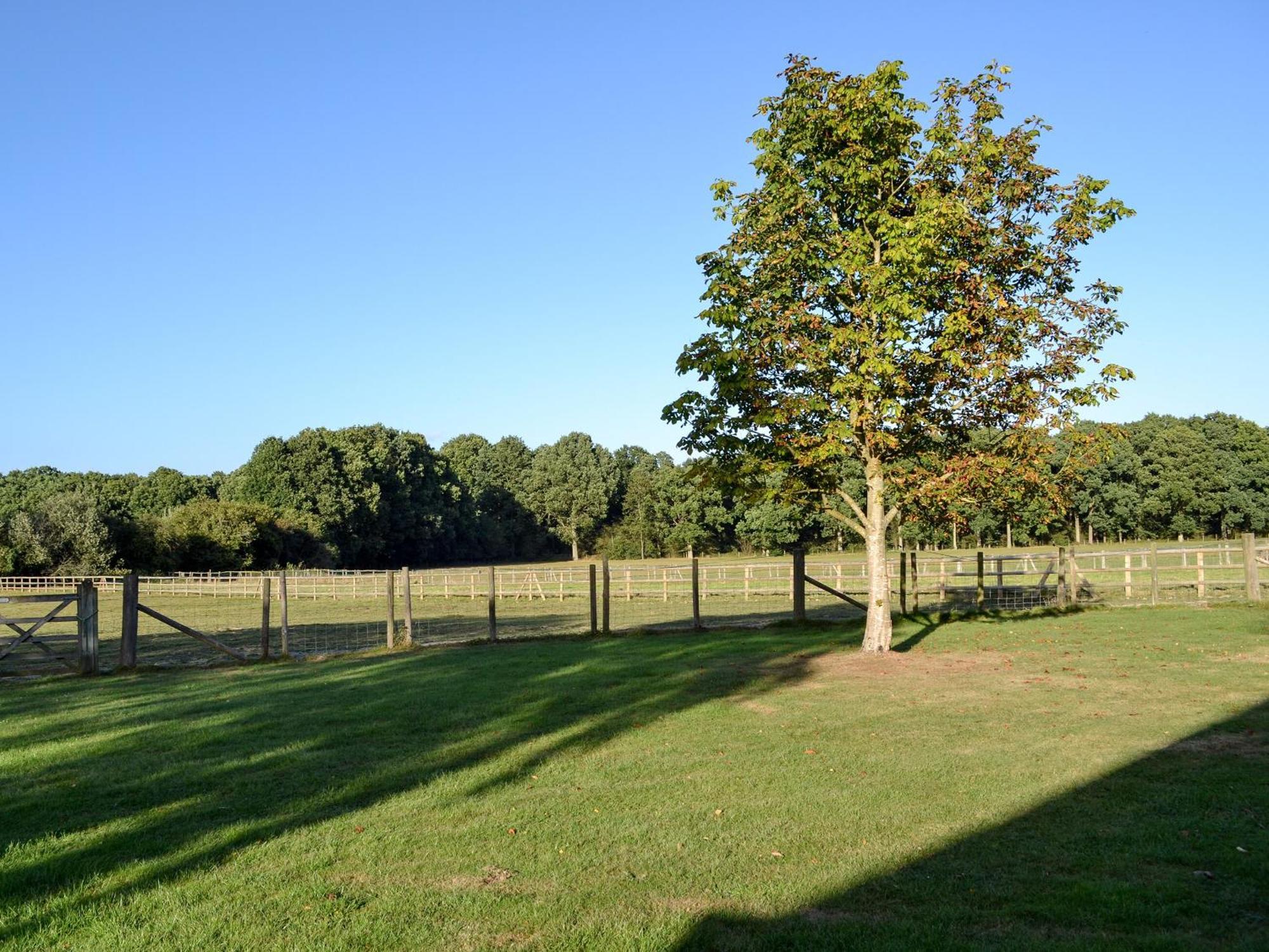 Maplehurst Barn Stables Staplehurst Exterior photo